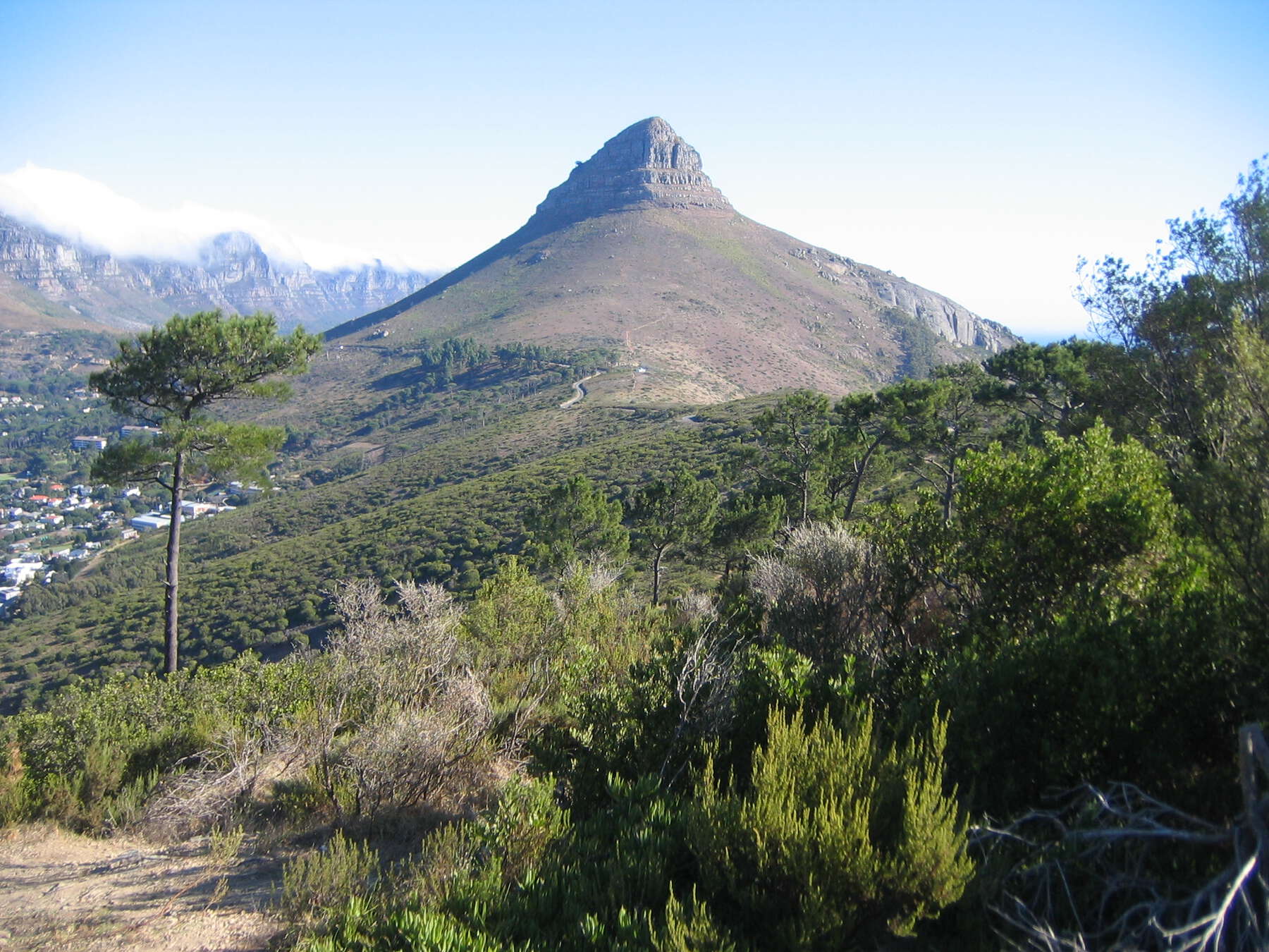 View from top of a hill filled with shrubs and, in the back, is a large stone conical peak.