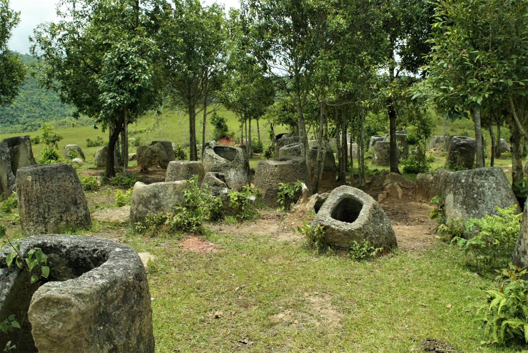 Spread out are large, cylindrical stones with holes on top that overrun by the nature.