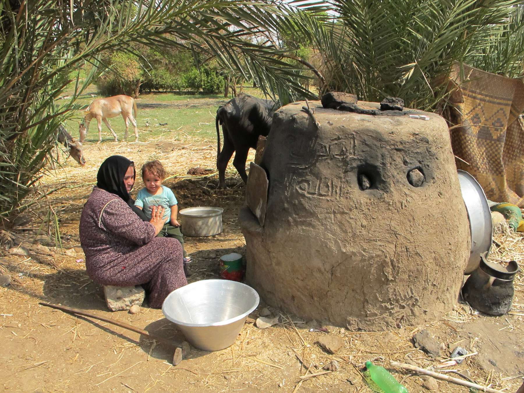Woman sitting with child on her lap in front of a mud baking oven in a large field with trees and cattle grazing in the back.